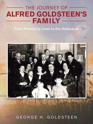 cover image of The Journey of Alfred Goldsteen's Family
